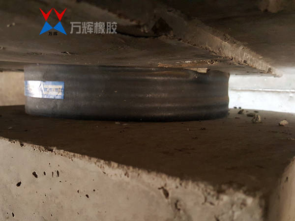 支座异物病害