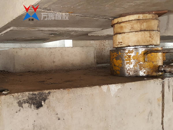 病害解决处理